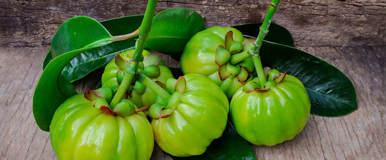 Garcinia Cambogia Extract is One of Our featured product
