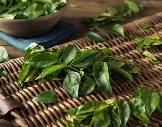 Curry Leaves