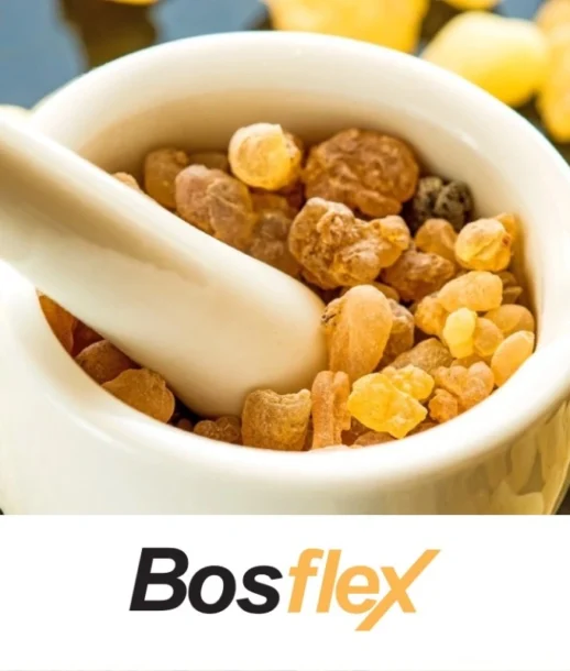 BosFlex 02